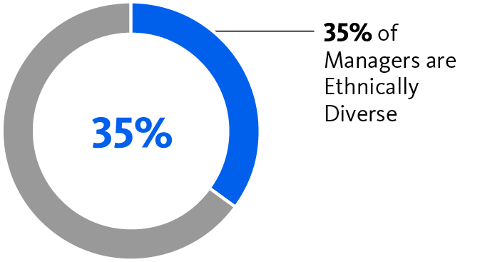 piechart_ethnicitymanageme.jpg